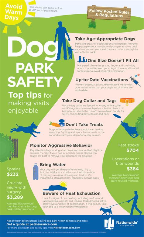 Dog Park Safety: Top Tips for Making Visits Safe and Enjoyable