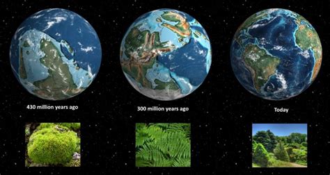 Emergence, Evolution, and Extinction of Life on Earth! | GreenStories