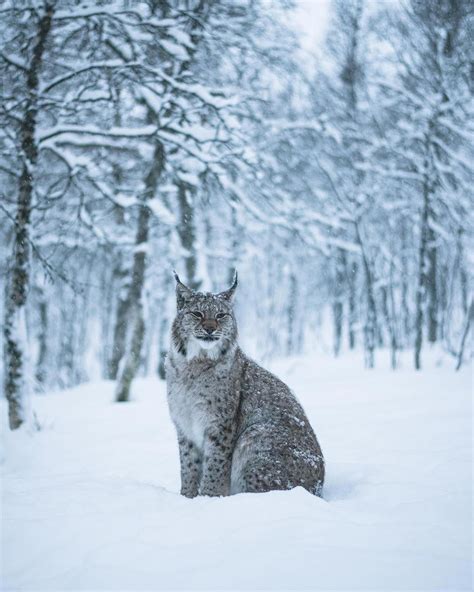 Winter Wonderland in Norway: Landscape Photography by Steffen Fossbakk #photography #Norway # ...