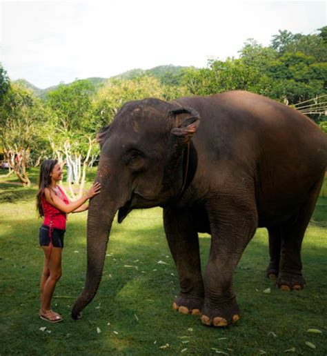 The Best Elephant Sanctuary in Thailand - Scratch your mapa