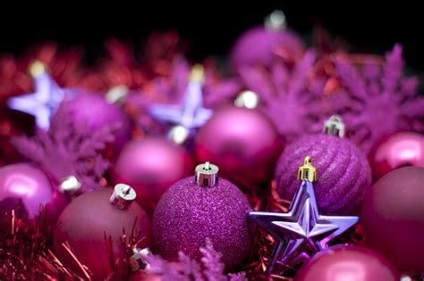 Photo of Purple Christmas decorations | Free christmas images