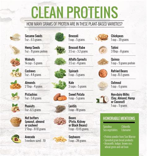 #cleanproteins | Vegan nutrition, Health food, Healthy recipes