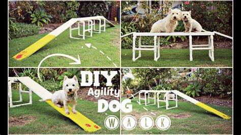 The top 22 Ideas About Diy Dog Obstacle Course - Home, Family, Style and Art Ideas