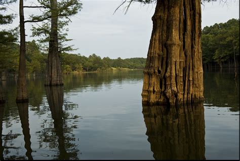 Enjoy the water at Moro Bay State Park | Arkansas.com