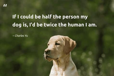 55 Dog Quotes About Our Beloved Best Friends