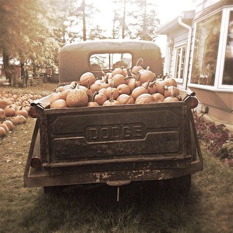 #pbHalloween | Pumpkin truck, Old pickup trucks, Dodge trucks