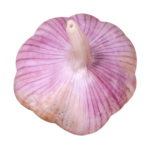 Garlic Clove Garlic, Garlic Clove, Garlic Head, Garlic PNG Transparent Image and Clipart for ...