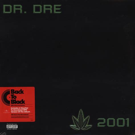 Dr. Dre - 2001 (Vinyl, LP, Album) at Discogs