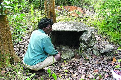 India's sacred groves: Science, tradition join to protect biodiversity ...