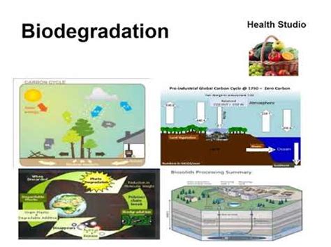 Biodegradation, factors, mechanisms and its role. - YouTube