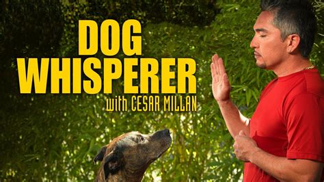 Dog Whisperer - Nat Geo Reality Series - Where To Watch