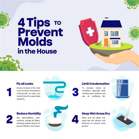 Mold Damage Prevention Tips - Deep Water Emergency Services