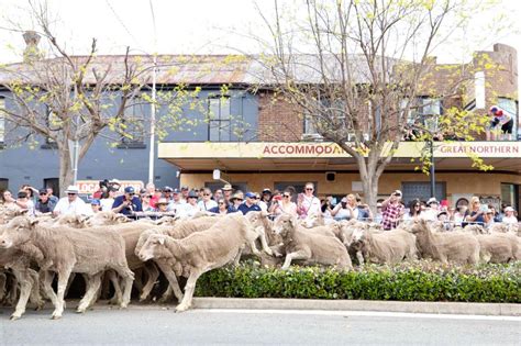 23rd Boorowa Irish Woolfest celebrated in Australia