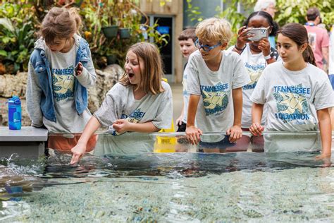 Aqua Camp · Tennessee Aquarium