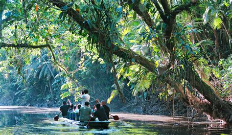 How to Get to Ecuador’s Amazon Jungle from Baños – Wanderbus Ecuador