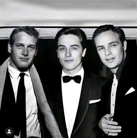 Paul Newman, Alain Delon et Marlon Brando - Photos Humour