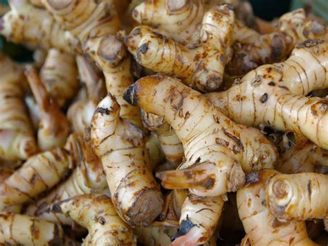 14 Fascinating Benefits Of Galangal - Boldsky.com