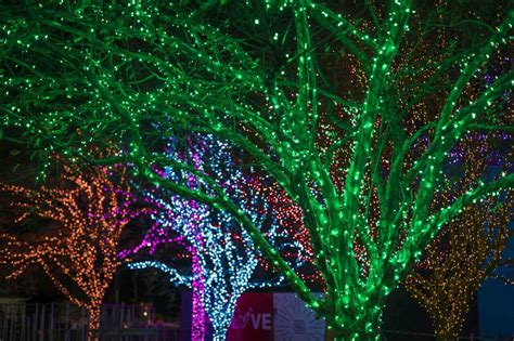 Fun Atlanta Christmas Parade Alternative for 2024: The Lighting at ...