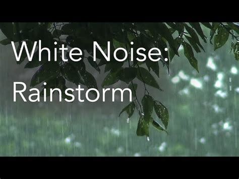 Sounds of Rain - Sounds of Nature White Noise for Mindfulness ...