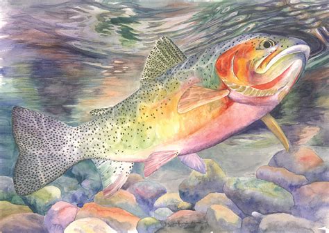 Rainbow Trout Painting by Sara Alexander Munoz