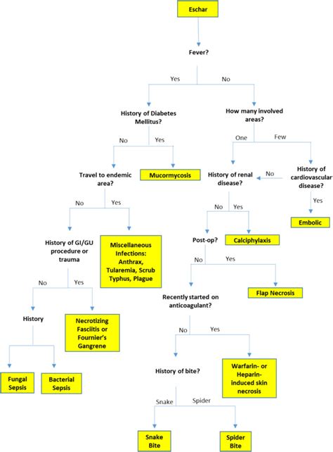 The rash that leads to eschar formation - Clinics in Dermatology