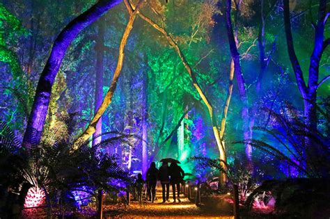 Enchanted Forest of Light Returns to Descanso Gardens on Nov. 17