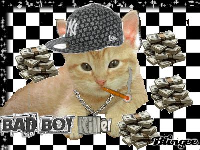 A bad cat! Picture #97793495 | Blingee.com