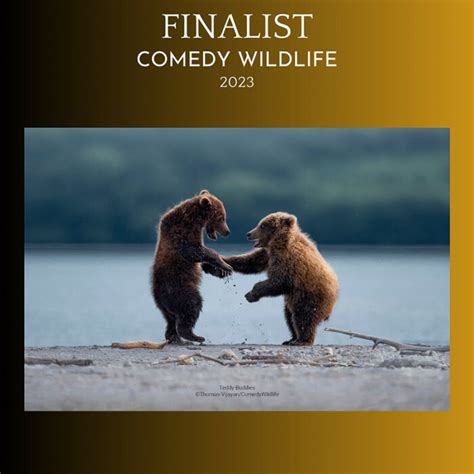 These Comedy Wildlife Photography Award Finalists Are a Hoot!