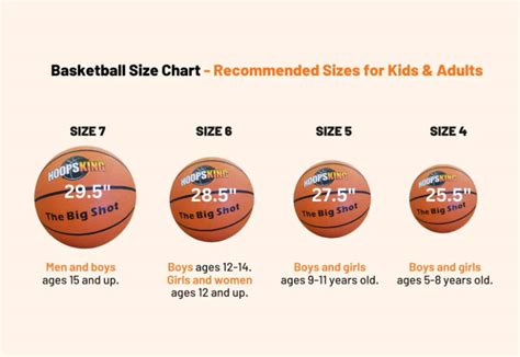 Understanding Basketball Sizes: A Comprehensive Guide - HoopsKing.com ...