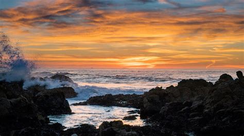 Monterey Bay Aquarium Has Beautiful Virtual Backgrounds – NBC Los Angeles