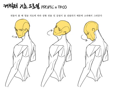 타코작가 on Twitter in 2021 | Body reference drawing, Figure drawing ...