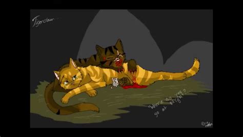 Tigerstar and Goldenflower