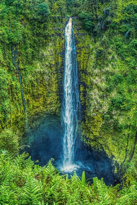 Akaka Falls – Wayne Budge Photography