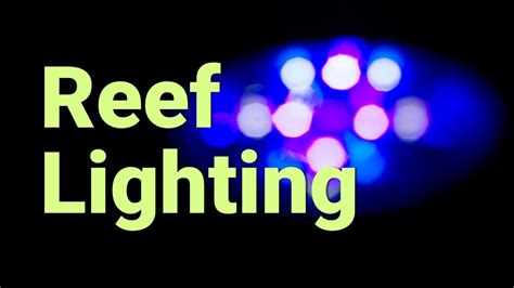 Beginners Guide to Coral Reef Tank Lighting - YouTube