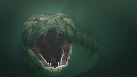 Titanoboa – The Largest Snake That Ever Lived - Jinzo X