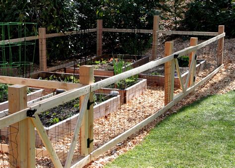 Rabbit Fence For Vegetable Garden - 31 Rabbit Proofing the Garden ideas ...