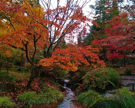 10+ Best Fall Hikes near Seattle - Ordinary Adventures