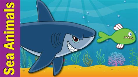 Under The Sea | Marine and Sea Animals Song for Kids | ESL for Kids | Fun Kids English - YouTube