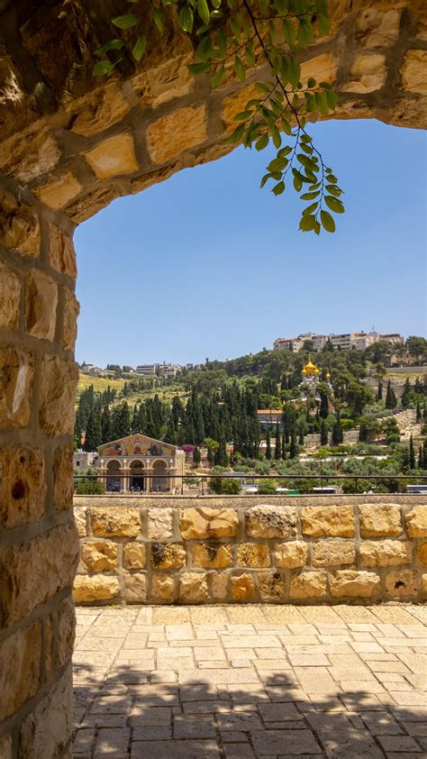 The Mount of Olives, Jerusalem, 2019 : pics