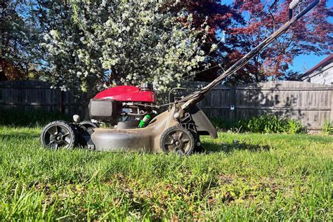 The 5 Best Lawn Mowers of 2023, Tested & Reviewed