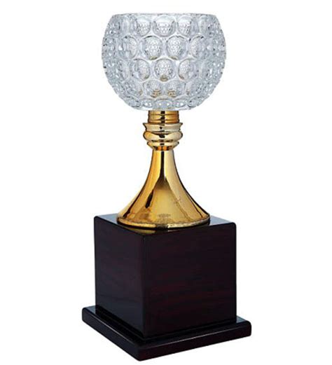 15inch Brass Trophy at Rs 500/piece | Brass Trophy in Ludhiana | ID: 23777374555