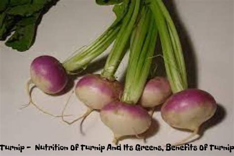 Turnip - Nutrition Of Turnip And Its Greens, Benefits Of Turnip