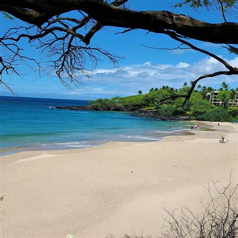 HAPUNA BEACH STATE RECREATION AREA - All You MUST Know Before You Go (2024)