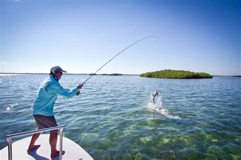 Day Trips and Cuba DIY Fishing - Moldy Chum