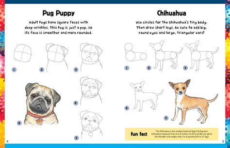 How To Draw A Realistic Dog Step By Step For Beginners