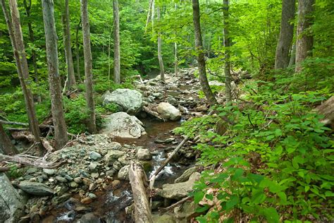 12 Best Hikes in Shenandoah National Park - The Planet D