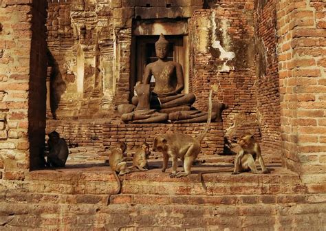 Lopburi Travel Guide - Visiting the Famous Thai Monkey Temple | Cool ...