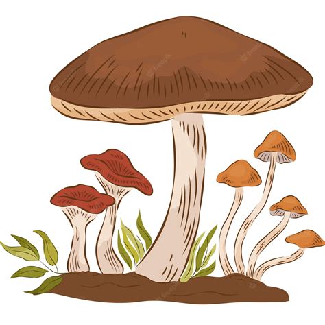 decomposers - Clip Art Library