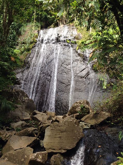 El Yunque waterfalls Great Places, Places To See, El Yunque Rainforest, Forest Waterfall ...