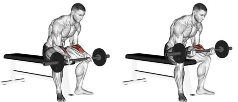 Barbell Wrist Curls - Form Fundamentals And Advanced Tricks For High Intensity Forearm Training ...